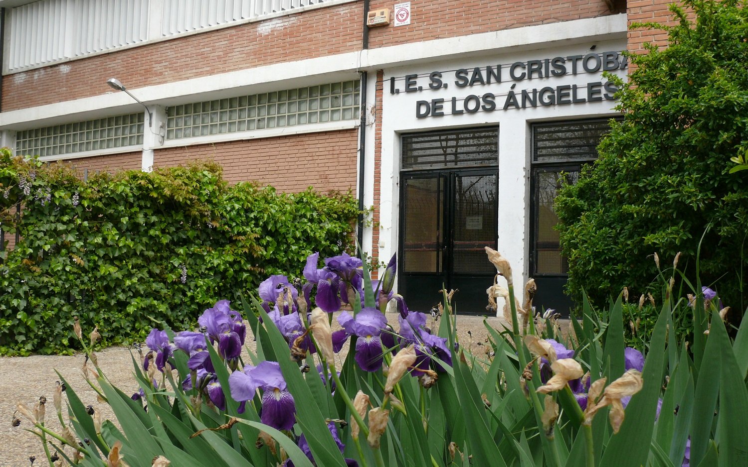 IES San Cristóbal de los Ángeles. Nieves Pinilla